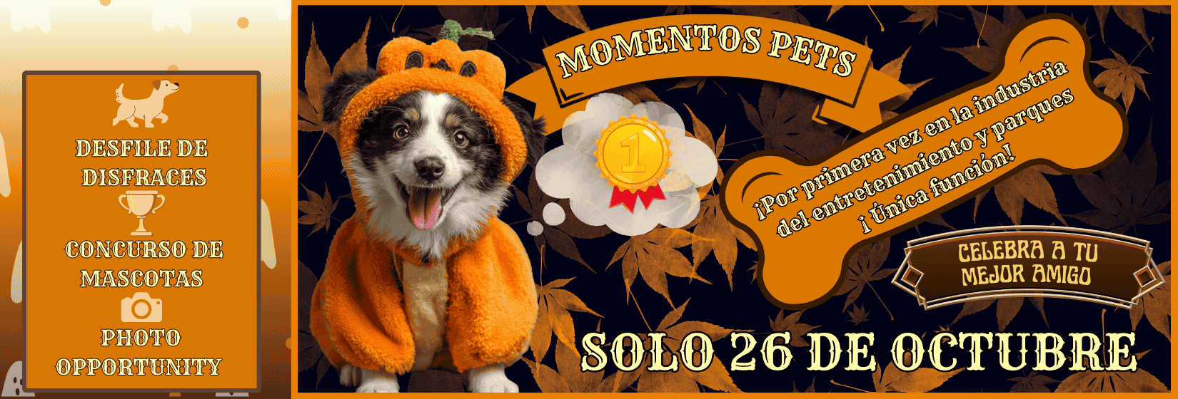 JOYPETS_MULTIPARQUE