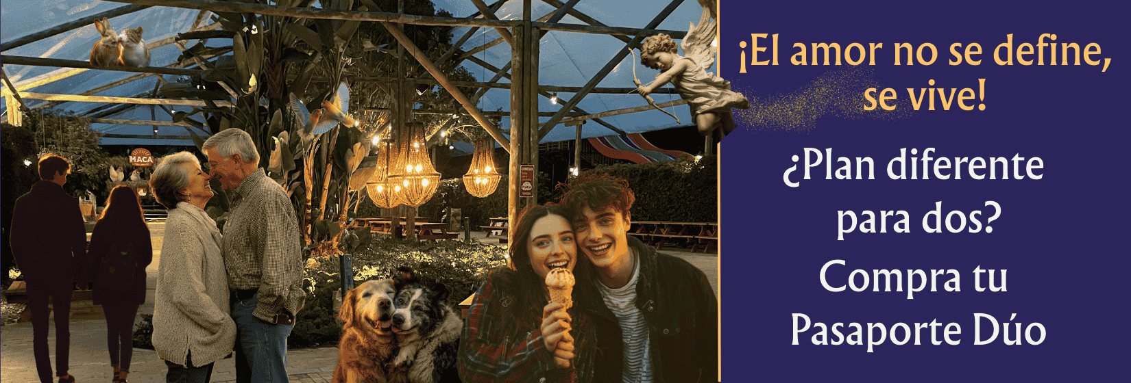 1650 x 560 EL AMOR NO SE DEFINE SE VIVE