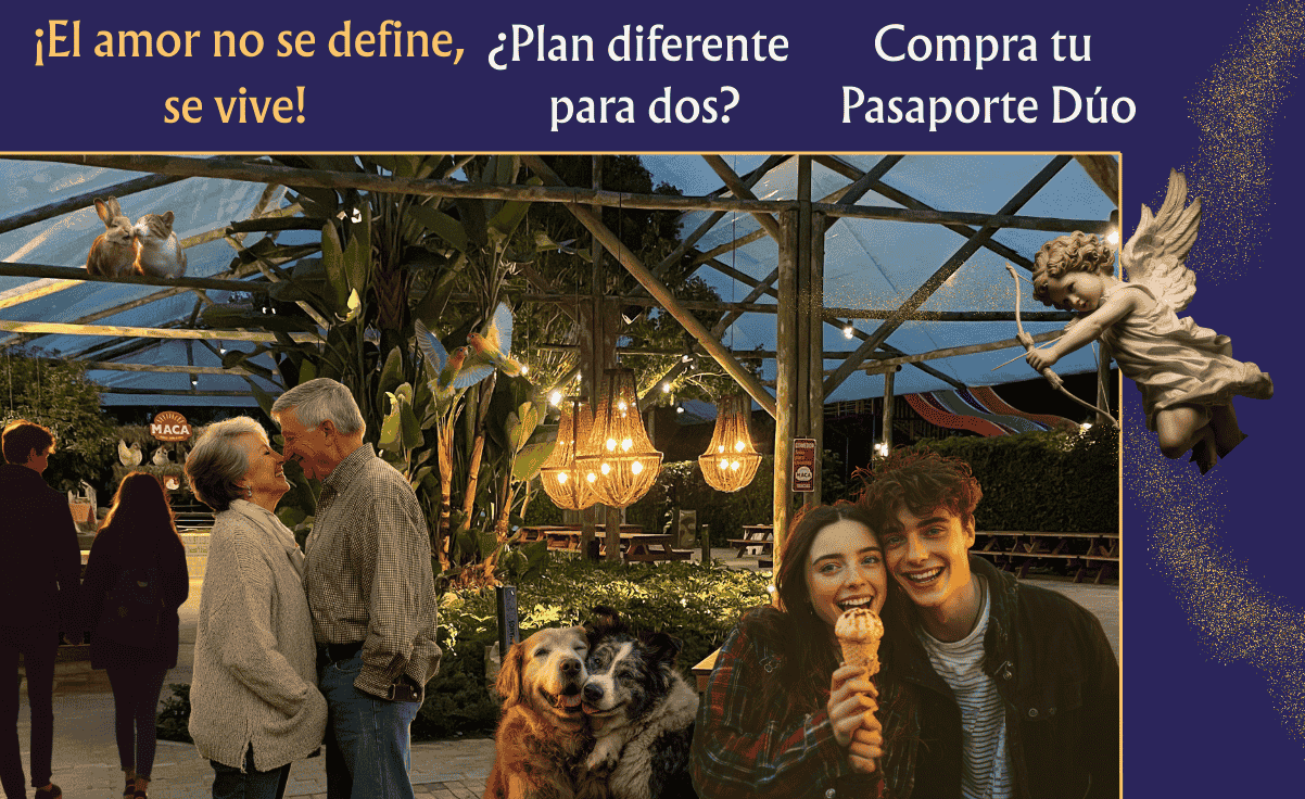 1650 x 560 EL AMOR NO SE DEFINE SE VIVE (1202 x 736 px)