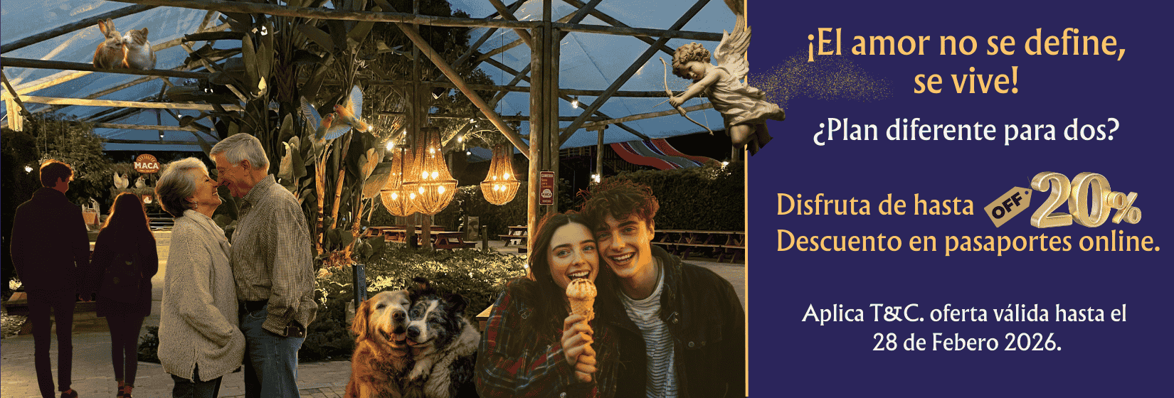 1650 x 560 EL AMOR NO SE DEFINE SE VIVE (1)