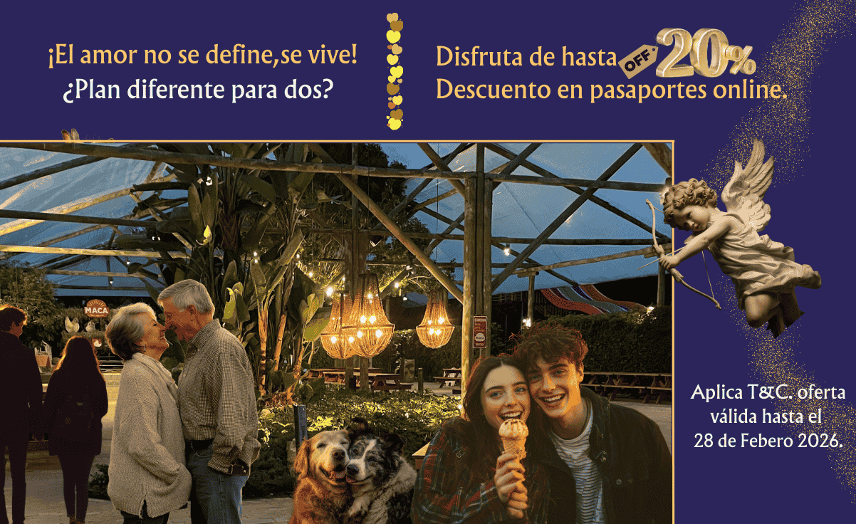 1650 x 560 EL AMOR NO SE DEFINE SE VIVE (1202 x 736 px) (1)